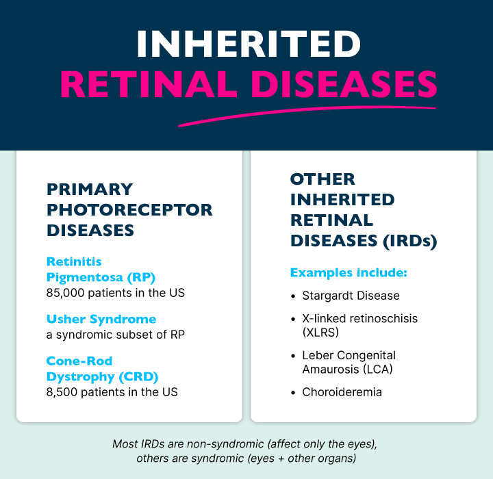 Inherited retinal diseases; two sided chart. First side lists Primary Photoreceptor Diseases: Retinitis Pigmentosa (85,000 patients in US), Usher Syndrome (a syndromic subset of RP), and cone-rod dystrophy (8,500 patients in US). Second side of the chart lists other Inherited Retinal Diseases: Examples include Stargardt Disease, X-lined retinoschisis, Leber Congenital Amaurosis, and Chorioderemia.